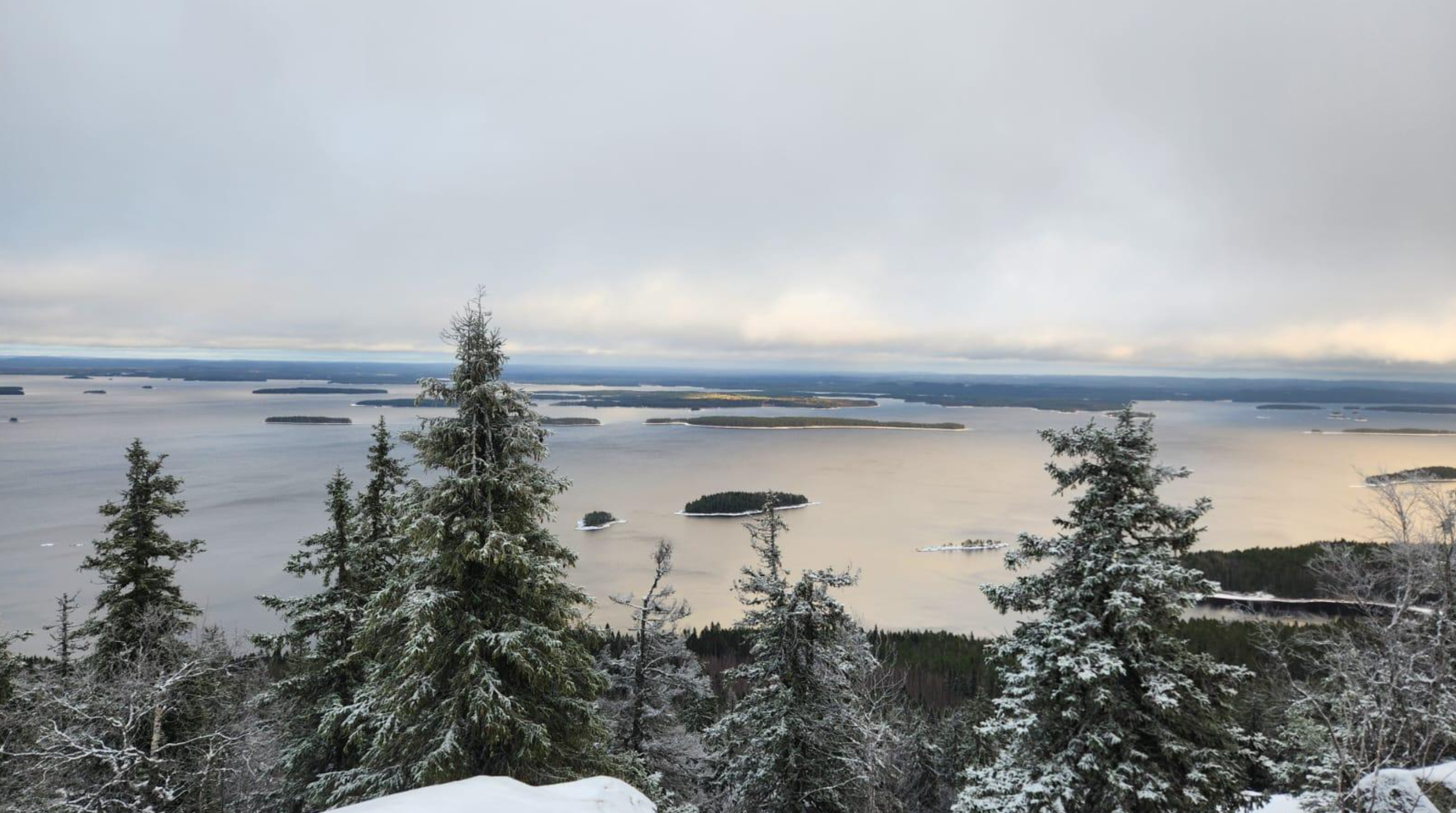 Image of Koli